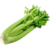Seri (Water Celery)