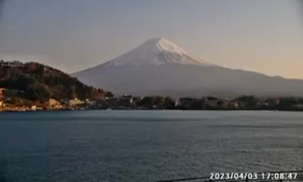 Live Cam