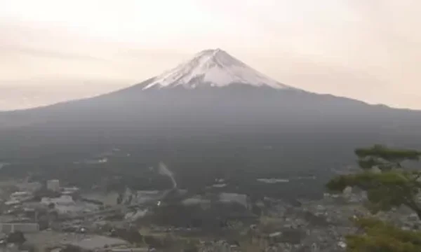 Live Cam