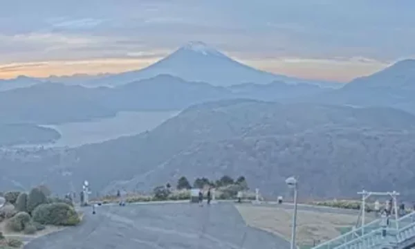 Live Cam